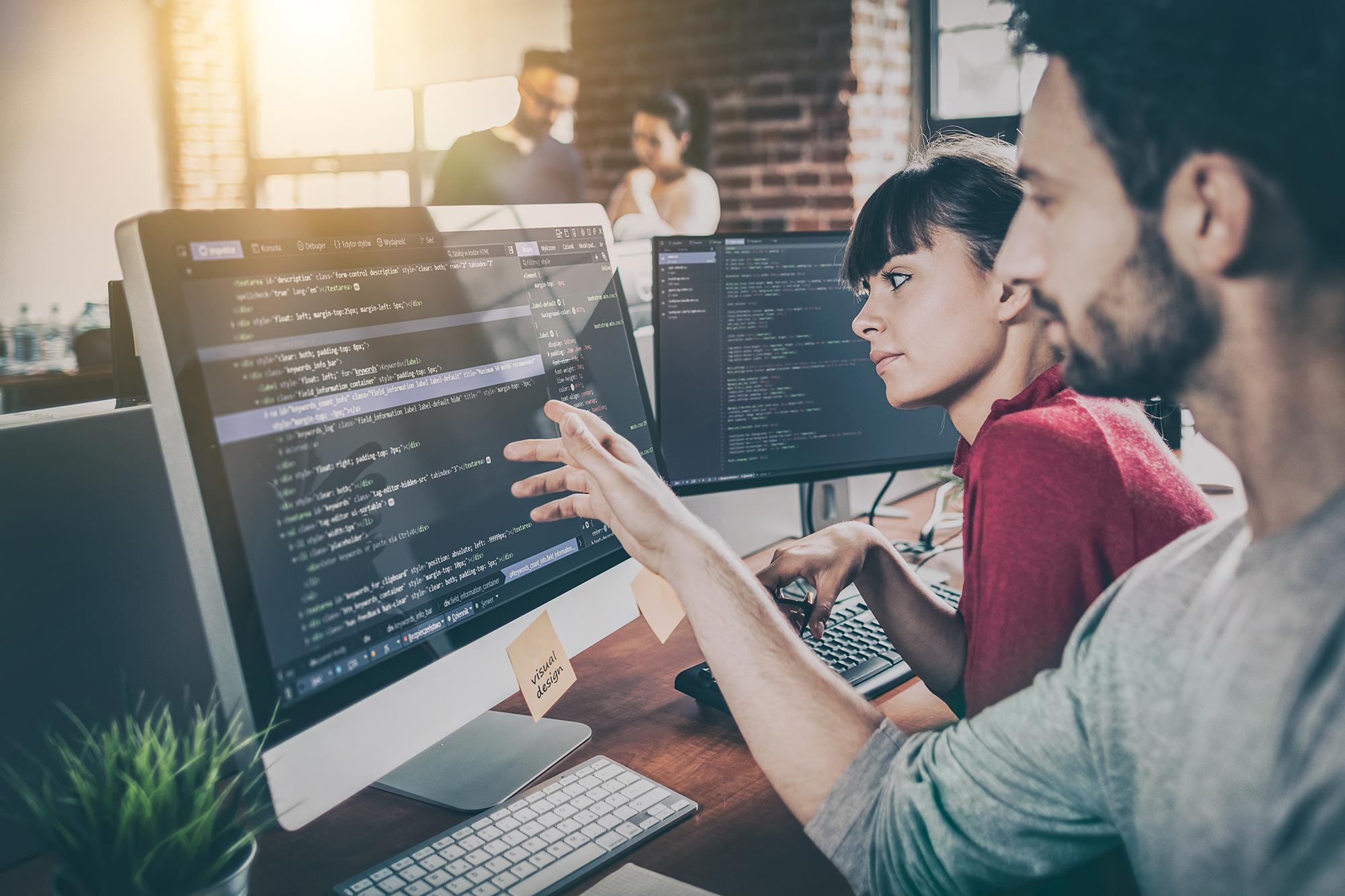 Custom healthcare software development